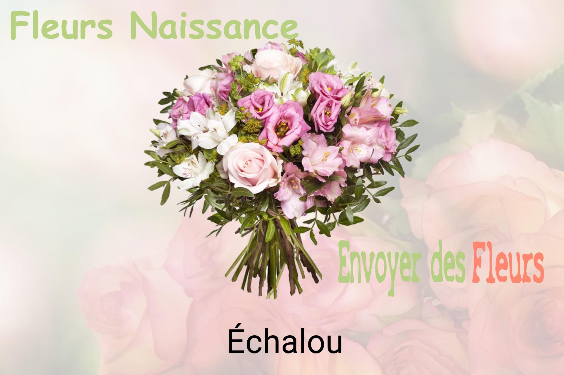 Bouquet de fleurs de naissance livré à Échalou